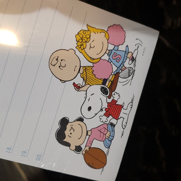 100 page team Peanuts football list memo sheets NWT - Picture 2 of 4